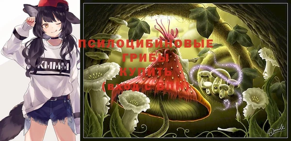МДПВ Бронницы