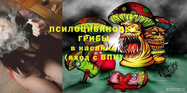 трава Верхний Тагил