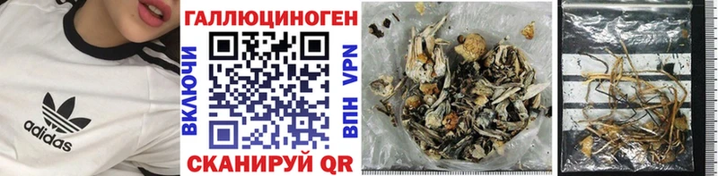 Купить закладки  Кимры  Псилоцибиновые грибы Psilocybine cubensis 
